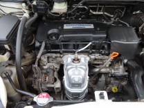 �I�f�b�Z�C �摜