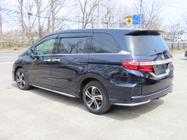 �I�f�b�Z�C �摜