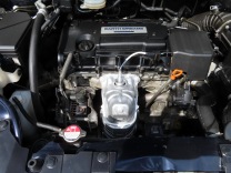 �I�f�b�Z�C �摜