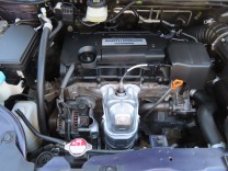 �I�f�b�Z�C �摜