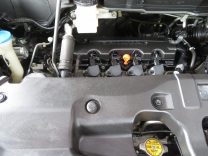 �X�e�b�v���S�� �摜