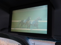 �X�e�b�v���S�� �摜