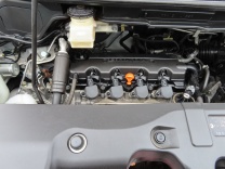 �X�e�b�v���S�� �摜