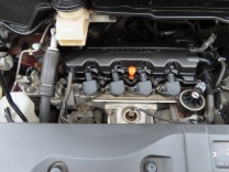 �X�e�b�v���S�� �摜